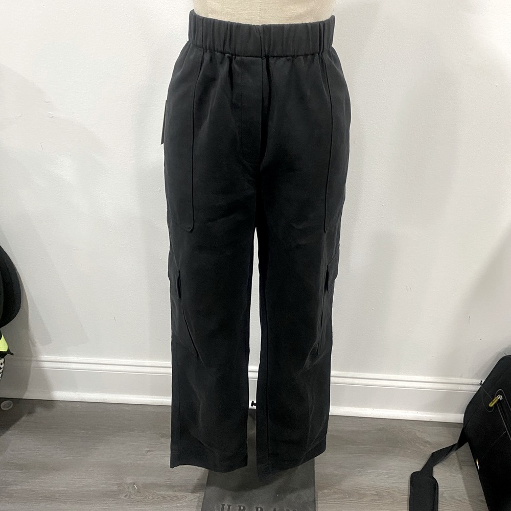 Aritzia Babaton Titan pant
